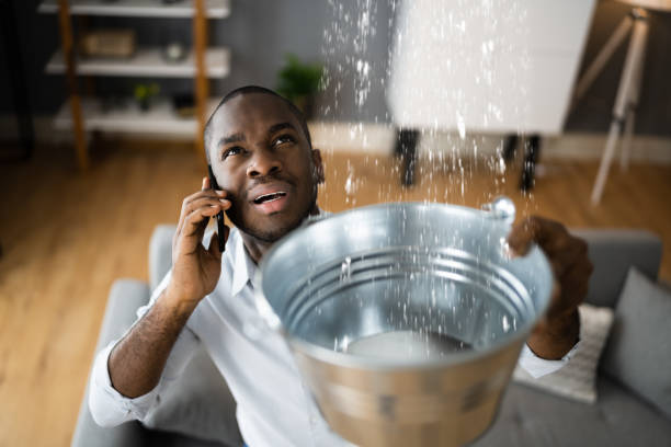 Best Flood restoration services  in Steamboat Springs, CO