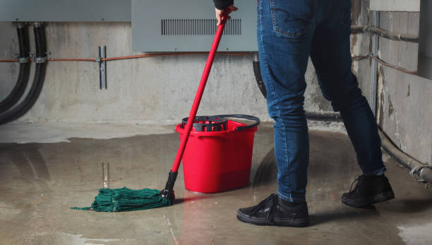 Trusted Steamboat Springs, CO Water damage restoration Experts
