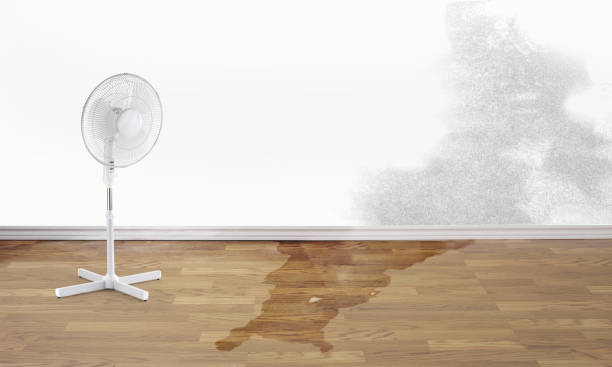 Water damage restoration mold remediation in Steamboat Springs, CO