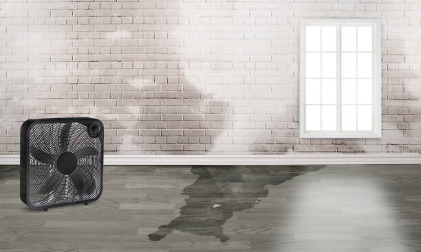 Best 24-hour water damage restoration  in Steamboat Springs, CO
