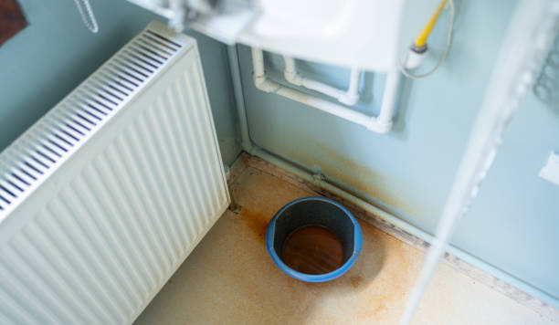Best Water damage cleanup near me  in Steamboat Springs, CO