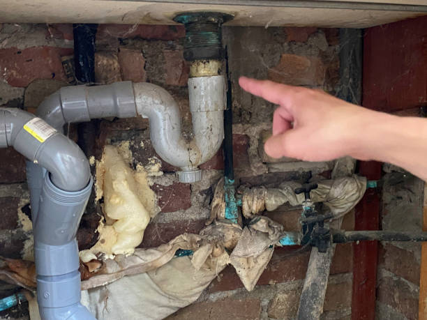 Best Fire Damage Restoration  in Steamboat Springs, CO