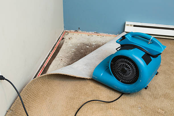 Water damage restoration process in Steamboat Springs, CO
